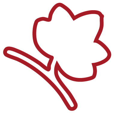 Preferred Limousine & Transportation